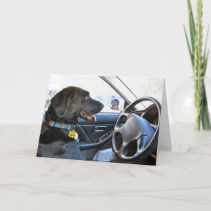 Cartão Na estrada de novo