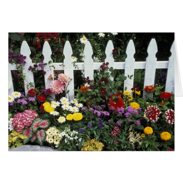 Cartão NA, EUA, Washington, Sammamish, Picket branco (Frente Horizontal)