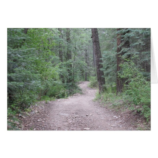 Cartão Na Floresta (Frente horizontal)