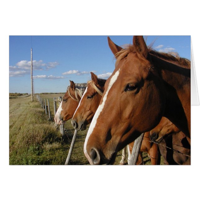 Cartão Na linha (Frente Horizontal)