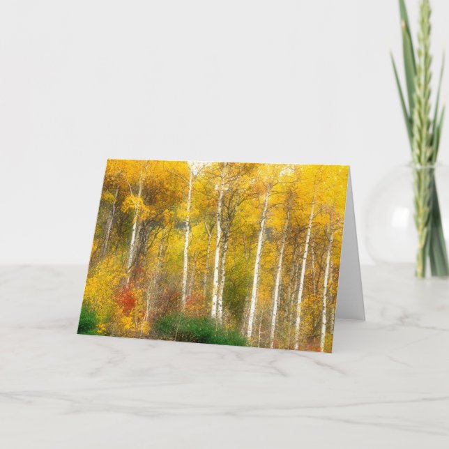 Cartão NA, USA, Washington, Fall Aspen Trees along (Frente)