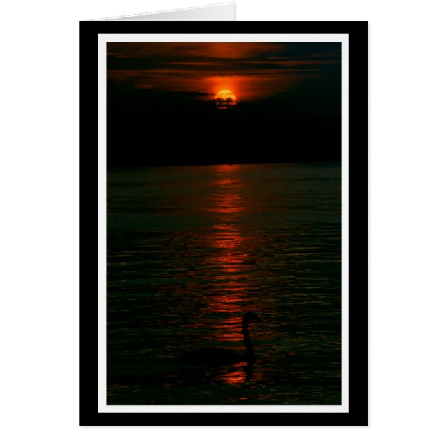 Cartão Nacht Karte (Frente)