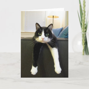 Cartão Nada a fazer