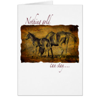 Cartão Nada Dourado pode permanecer