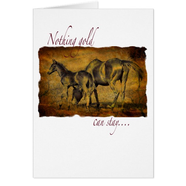 Cartão Nada Dourado pode permanecer (Frente)