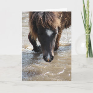Cartão Nadar Cavalo Aniversário