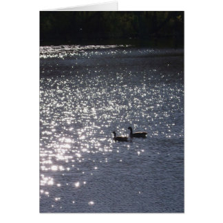 Cartão Nadar na luz