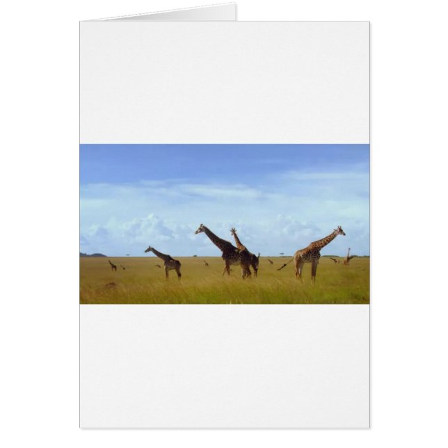 Cartão Nairobi National Park Girafas (Frente)