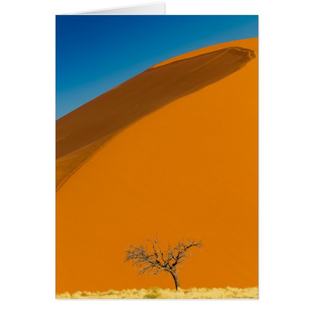 Cartão Namib Naukluft National ParkNote (Frente)