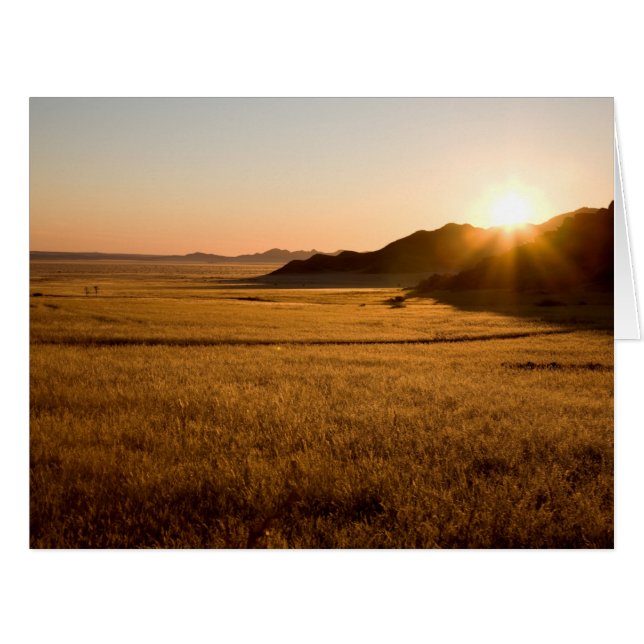 Cartão Namib Naukluft Park (Frente horizontal)