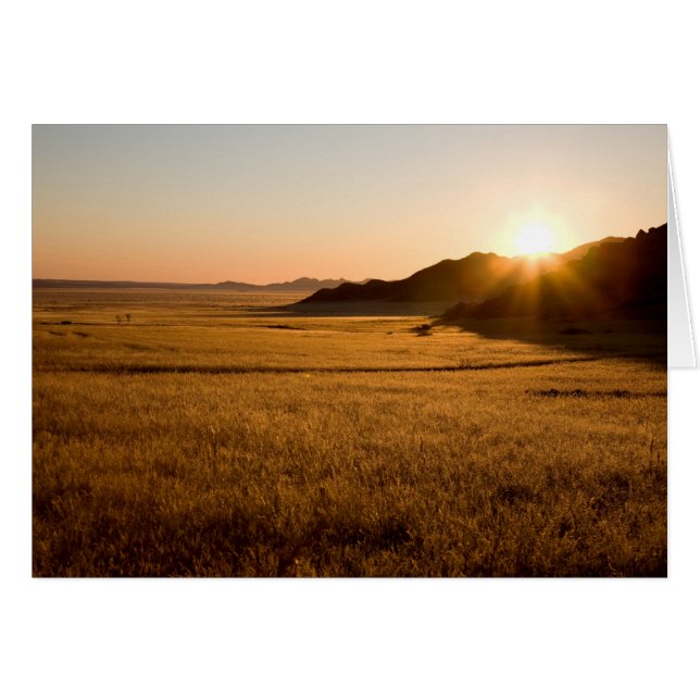 Cartão Namib Naukluft Park (Frente Horizontal)