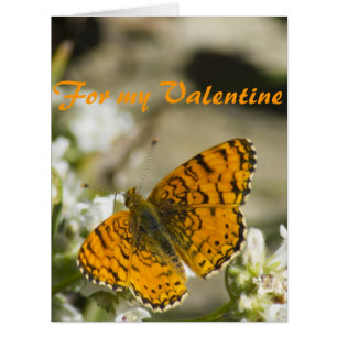 Cartão Namorados alaranjados da borboleta