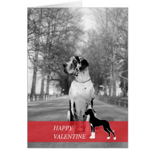 Cartão Namorados Feliz