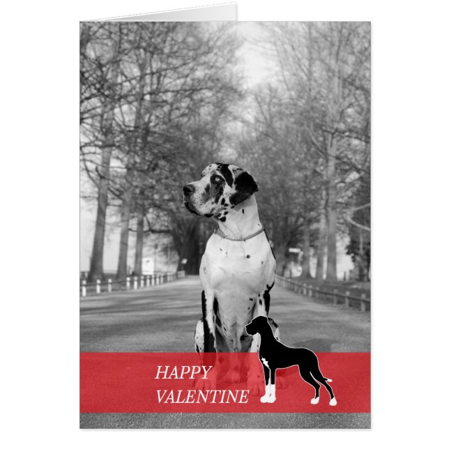 Cartão Namorados Feliz (Frente)