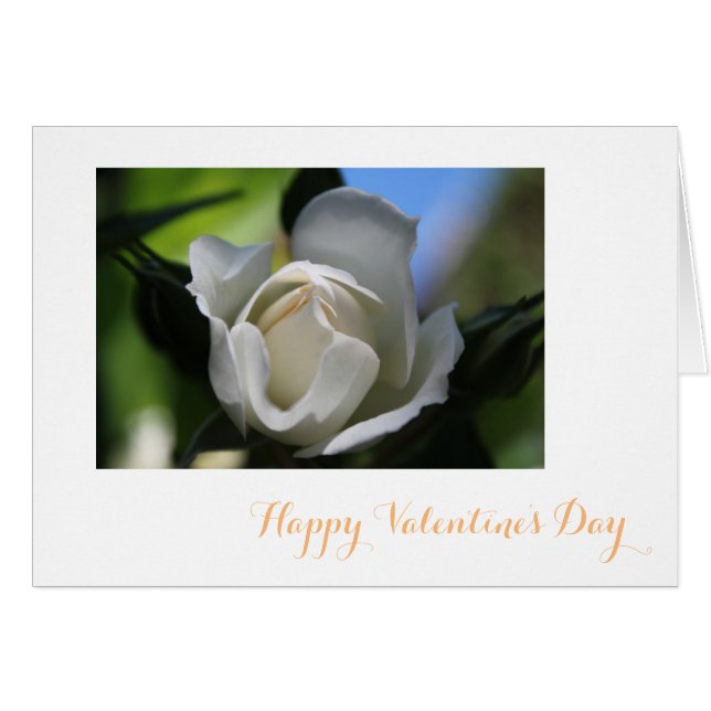 Cartão Namorados feliz de flor branca pura (Frente Horizontal)