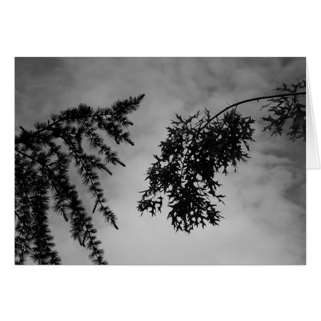 Cartão Namorico (Frente Horizontal)