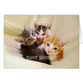 Cartão Nana, Trio de Gatinhos Quentes e Fofos Feliz Anive