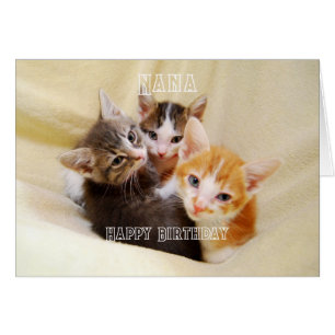 Cartão Nana, Trio de Gatinhos Quentes e Fofos Feliz Anive