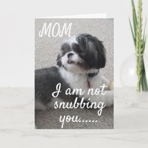 CARTÃO **NÃO A SUBIR MÃE, MAS A DESEJAR-TE ANIVERSÁRIO"