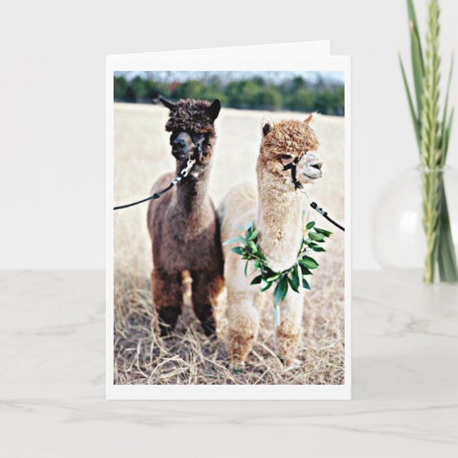 CARTÃO NÃO ACREDITO QUE ESTEJA CELEBRANDO ANIVERSÁRIO DO  (Frente)