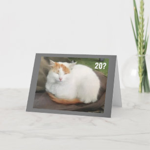 CARTÃO NÃO ACREDITO QUE ESTEJA CELEBRANDO O ANIVERSÁRIO "