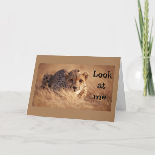 CARTÃO NÃO ACREDITO QUE "VOCÊ" TEM "16" ANOS