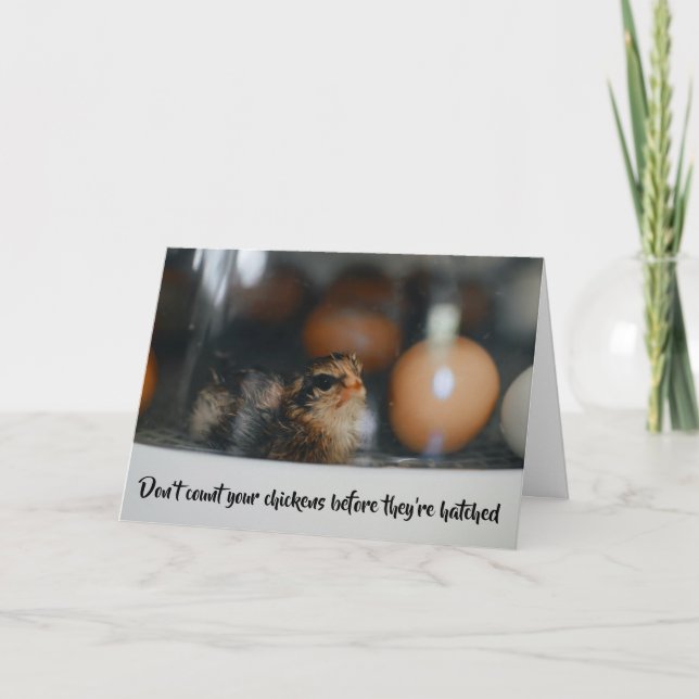 Cartão Não conte seus filhotes antes que eles sejam odiad (Frente)
