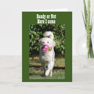 CARTÃO NÃO É POSSÍVEL ESPERAR PARA CELEBRAR **NOSSA PLACA