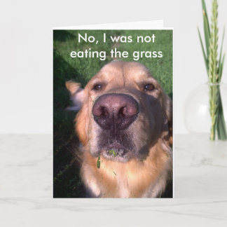 Cartão Não, eu não...