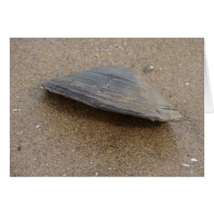 Cartão Não fazem os moluscos acima