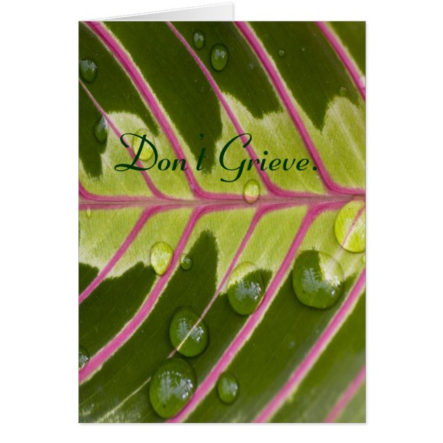 Cartão Não Grieve. (Frente)