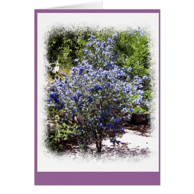 Cartão Não Mais Sozinho (Frente)