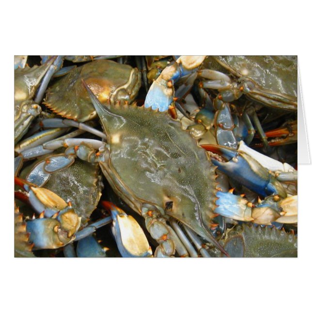 Cartão Não me incomode… que eu sou Crabby! (Frente Horizontal)