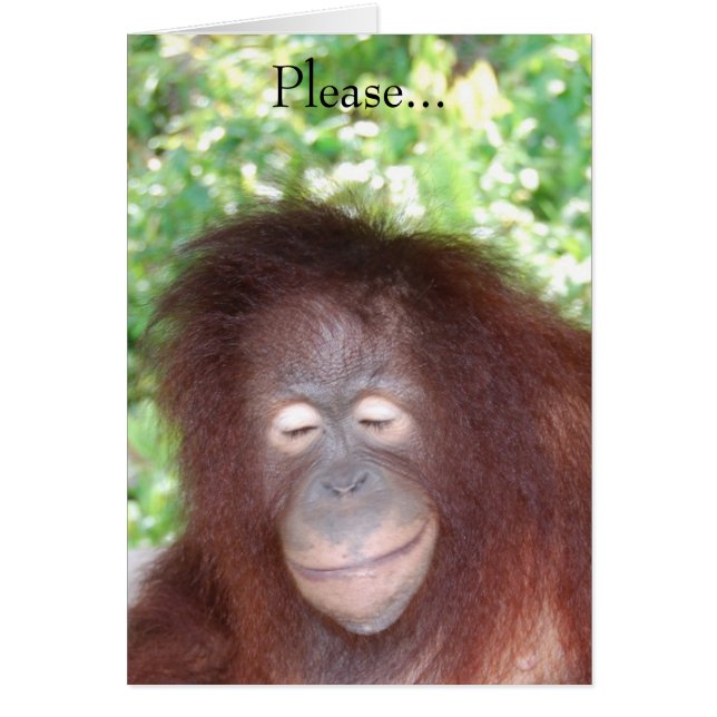 Cartão Não me odeie porque sou linda (Frente)