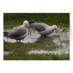 Cartão Não me solte!