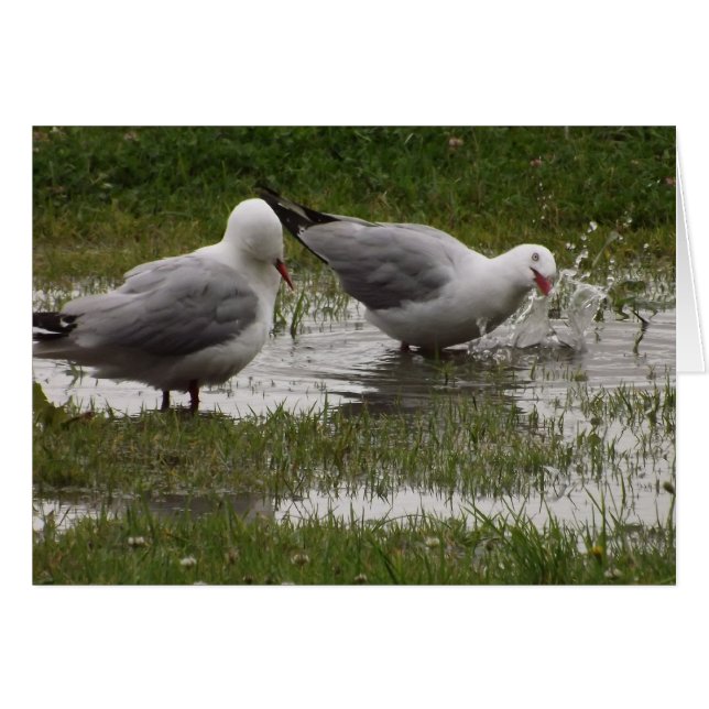 Cartão Não me solte! (Frente Horizontal)