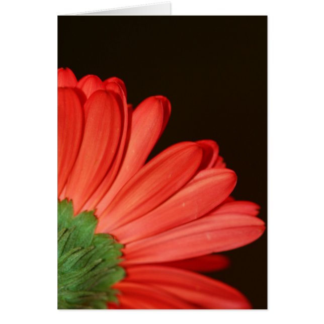 Cartão Não me vire as costas (Frente)