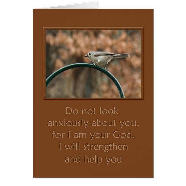Cartão não olhe com ansiedade sobre seu pássaro na arca (Frente)