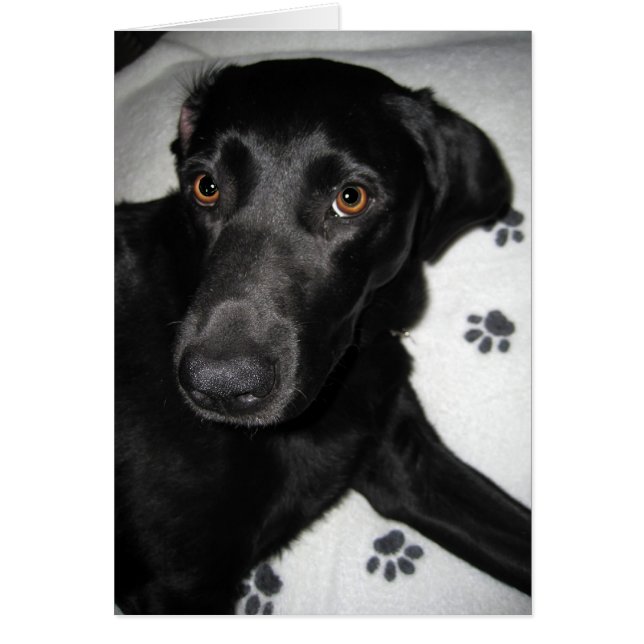 Cartão Não pode ajudar-se (Frente)