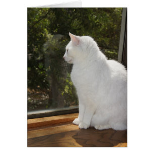 Cartão Não pode esperar para vê-lo