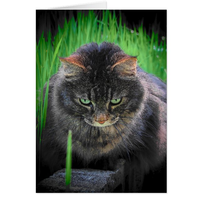 Cartão Não posso desviar o olhar (Frente)