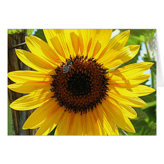 Cartão Não respire muito fundo