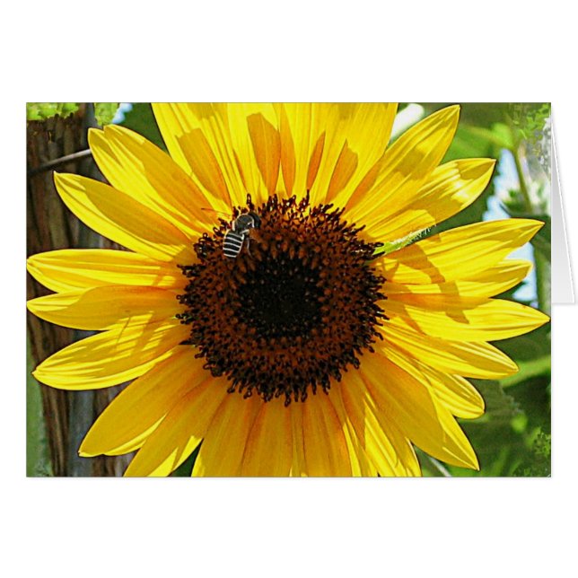 Cartão Não respire muito fundo (Frente Horizontal)