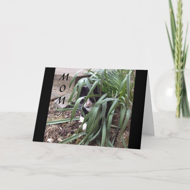 CARTÃO NÃO SE ESCONDE DA VERDADE "MÃE MELHOR" NO MUNDO (Frente)