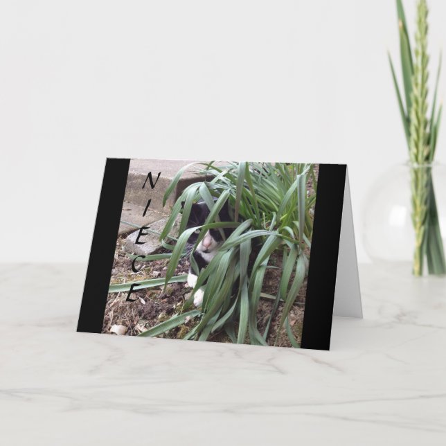 CARTÃO NÃO SE ESCONDE DA VERDADE "MELHOR NÚMERA" NO MUNDO (Frente)