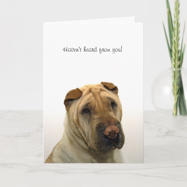 Cartão Não se ouviram de você (Frente)