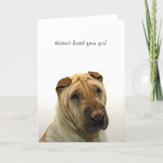 Cartão Não se ouviram de você