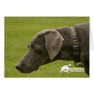 Cartão Não seja triste