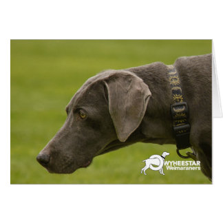 Cartão Não seja triste