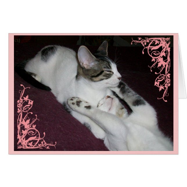 Cartão Não seja um desconhecido (Frente Horizontal)